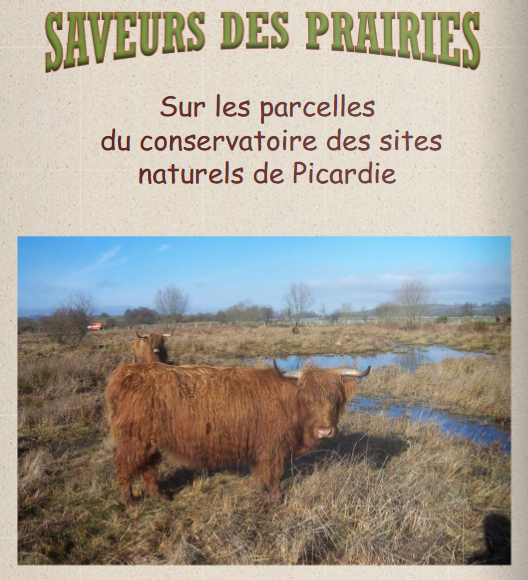 562-saveurs-des-prairies-2.png